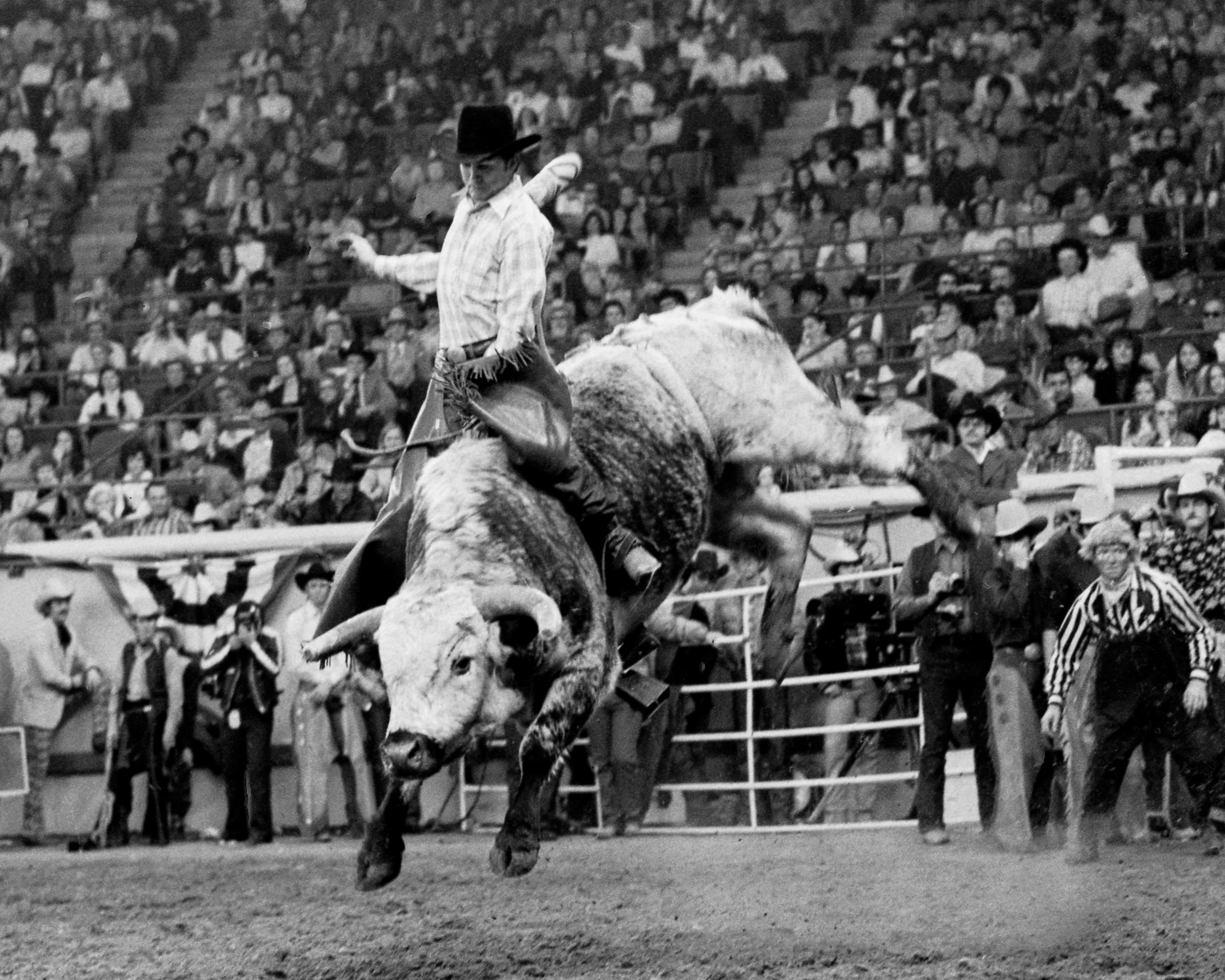 Born to ride: Bull riders and bullfighters share their passion for